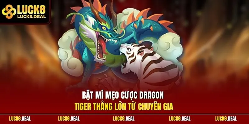 Bật mí mẹo cược Dragon Tiger thắng lớn từ chuyên gia