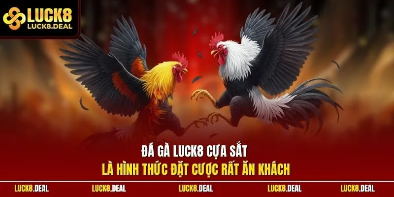 Đá gà LUCK8 cựa sắt là hình thức đặt cược rất ăn khách