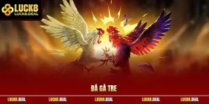 Đá gà tre