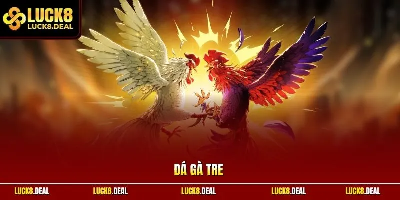Đá gà tre