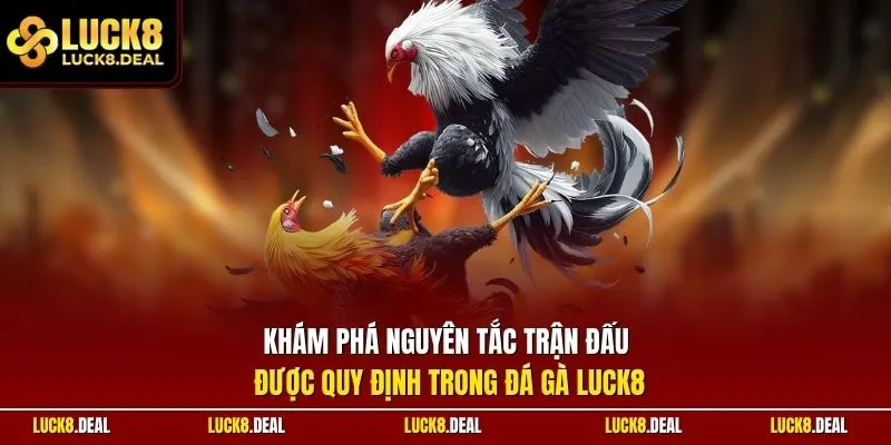 Khám phá nguyên tắc trận đấu được quy định trong đá gà LUCK8