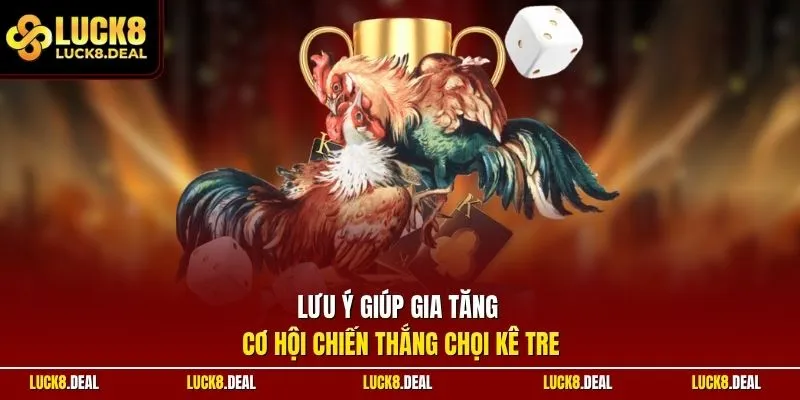 Lưu ý giúp gia tăng cơ hội chiến thắng chọi kê tre