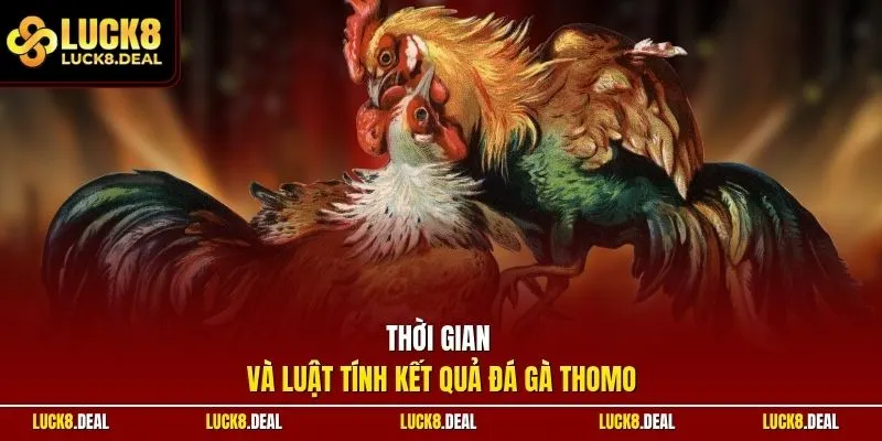 Thời gian và luật tính kết quả đá gà Thomo