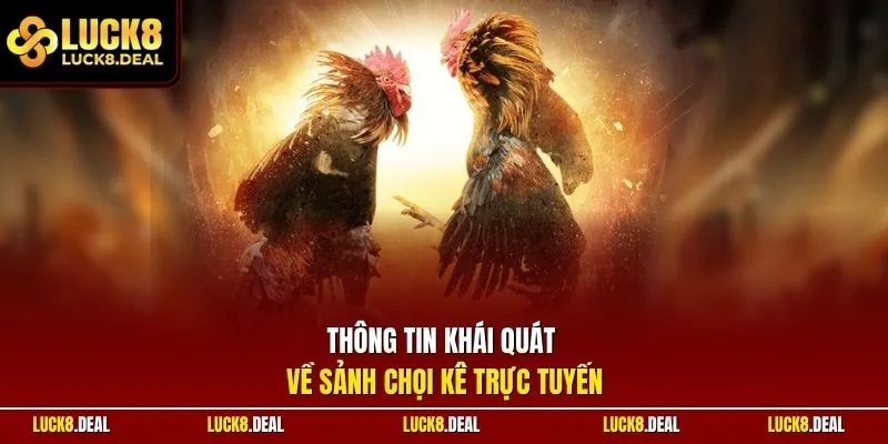 Thông tin khái quát về sảnh chọi kê trực tuyến