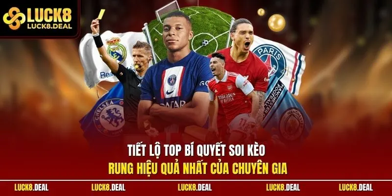 Tiết lộ top bí quyết soi kèo rung hiệu quả nhất của chuyên gia