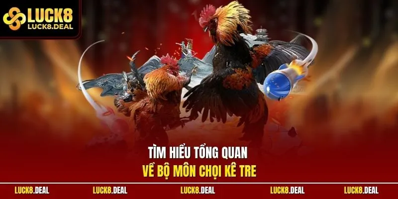 Tìm hiểu tổng quan về bộ môn chọi kê tre