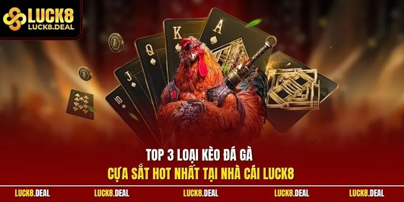 Top 3 loại kèo đá gà cựa sắt hot nhất tại nhà cái LUCK8